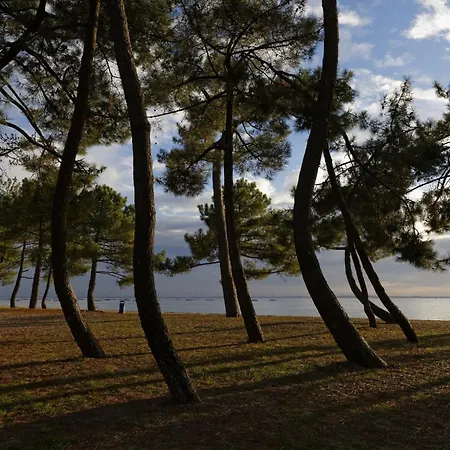 350m De La Plage, Dans Le Centre Lägenhet *